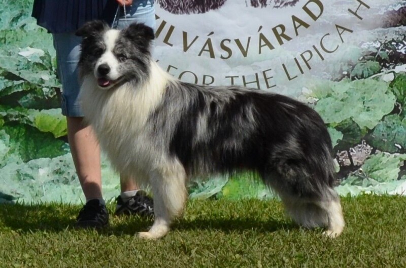 Heart_Breaker z Černobílých